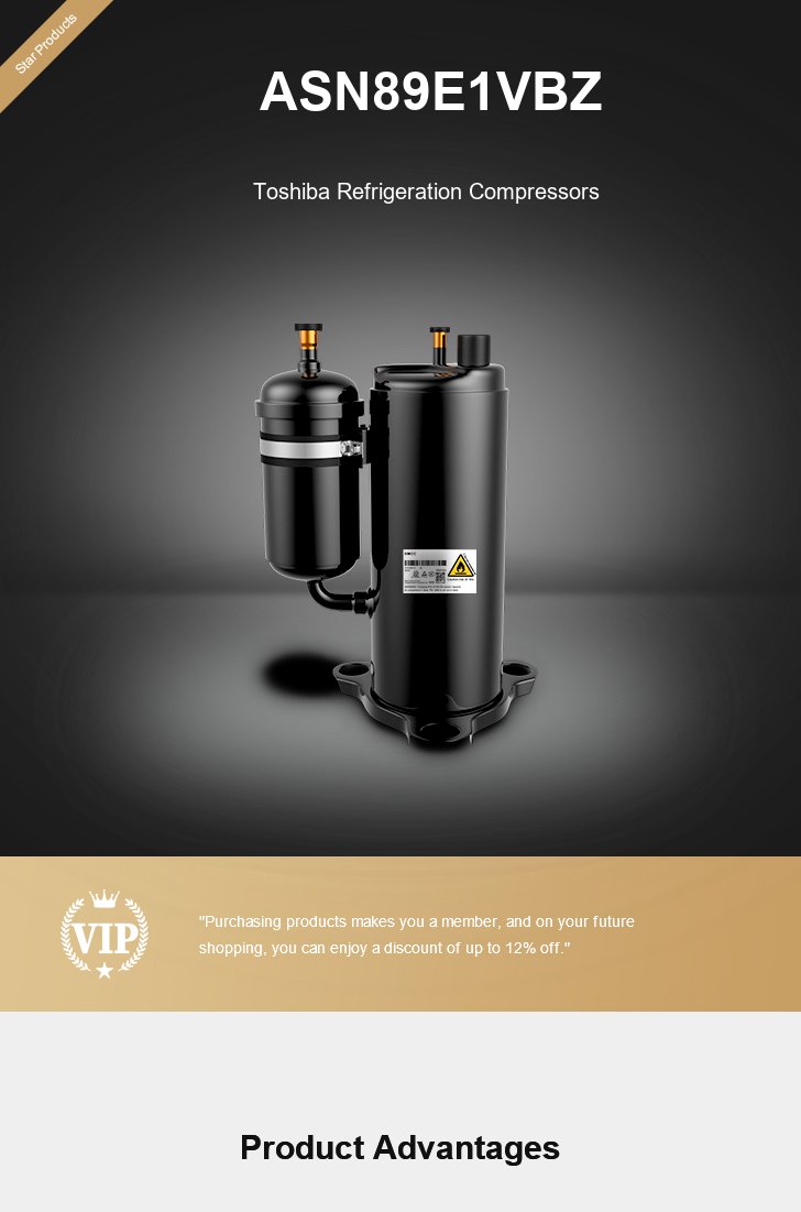 Toshiba Compressor ASN89E1VBZ, technical parameters pdf, structure diagram